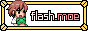 flash.moe